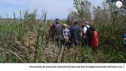 20-Hoja16-extraccion-1