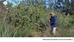 26-Hoja20-especies-1