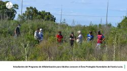 27-Hoja21-Programa alfabetizacion-1