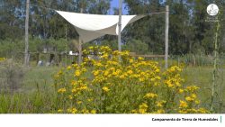 28-Hoja27-Campamento-1