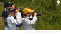 32-Hoja30-escuelas 2-1